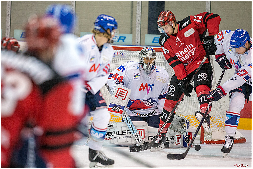 Testspiel Koelner Haie - Adler Mannheim, 09.09.2018